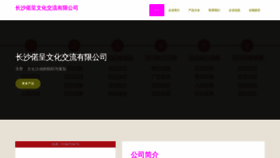 What Csnuocheng.com website looks like in 2024 