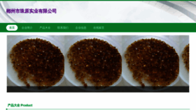 What Czzhuyuan.com website looks like in 2024 