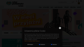 What Cyberprofilaktyka.pl website looks like in 2024 