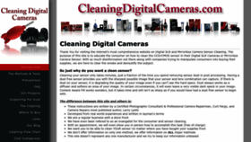 What Cleaningdigitalcameras.com website looks like in 2024 