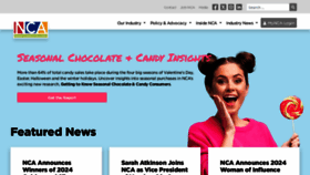 What Candyusa.com website looks like in 2024 