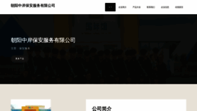 What Cyzhongan.com website looks like in 2024 