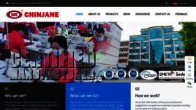 What Chinjane-sports.com website looks like in 2024 