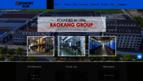 What Chinabaokangs.com website looks like in 2024 