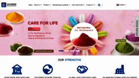 What Colorkem.com website looks like in 2024 