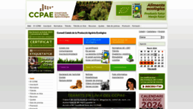 What Ccpae.org website looks like in 2024 