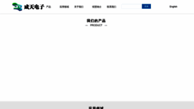 What Chengtiandz.com website looks like in 2024 