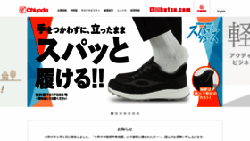 What Chiyodagrp.co.jp website looks like in 2024 