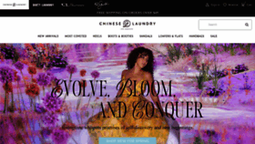 What Chineselaundry.com website looks like in 2024 