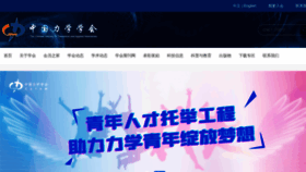 What Cstam.org.cn website looks like in 2024 