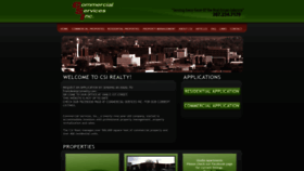 What Csirealty.com website looks like in 2024 