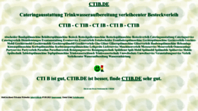 What Ctib.de website looks like in 2024 