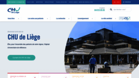 What Chuliege.be website looks like in 2024 