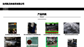 What Czmkytw.cn website looks like in 2024 