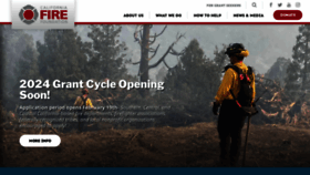 What Cafirefoundation.org website looks like in 2024 