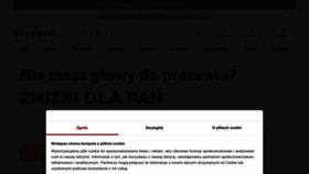 What Cafesilesia.pl website looks like in 2024 