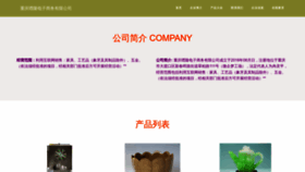 What Cqheilong.com website looks like in 2024 
