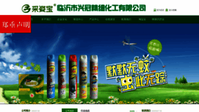 What Caizibao.net website looks like in 2024 