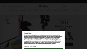 What Cybex-online.com website looks like in 2024 