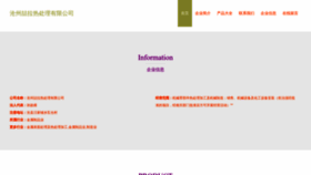 What Czhevla.cn website looks like in 2024 