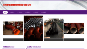 What Czjingcai.cn website looks like in 2024 