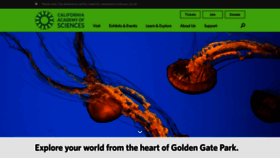 What Calacademy.org website looks like in 2024 