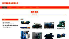 What Chenglongpump.com website looks like in 2024 