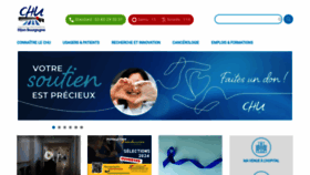 What Chu-dijon.fr website looks like in 2024 