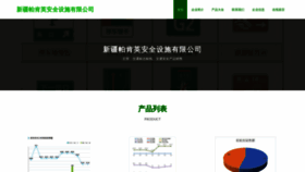 What Chowpakking.com website looks like in 2024 