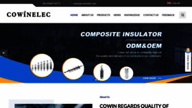 What Cowin-electrical.com website looks like in 2024 