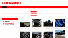 What Cangzhouxiangjun.com website looks like in 2024 