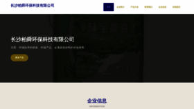 What Csbaishun.com website looks like in 2024 