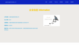 What Cdenxin.com website looks like in 2024 