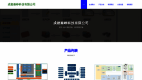 What Cdqinzheng.com website looks like in 2024 