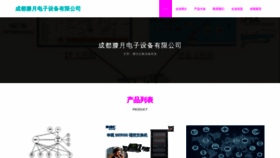 What Cdtengyue.com website looks like in 2024 