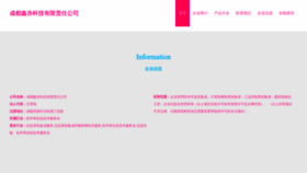 What Cdxingchi.com website looks like in 2024 