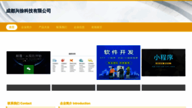 What Cdxingxu.com website looks like in 2024 