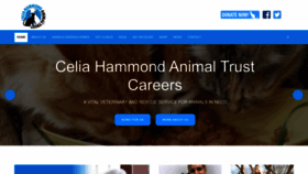 What Celiahammond.org website looks like in 2024 
