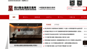 What Csle.cn website looks like in 2024 