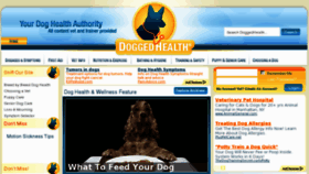 What Doggedhealth.com website looked like in 2013 (11 years ago)