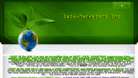 What Data4marketers.com website looked like in 2013 (11 years ago)