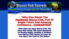 What Discus-fish-secrets.com website looked like in 2013 (10 years ago)