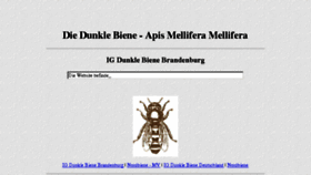 What Dunklebiene.de website looked like in 2013 (10 years ago)