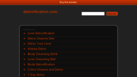 What Detoxification.com website looked like in 2013 (10 years ago)