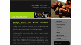 What Domalanmantari.com website looked like in 2013 (10 years ago)