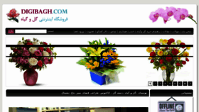 What Digibagh.com website looked like in 2014 (10 years ago)