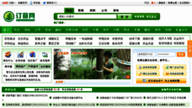 What Dingmiao.com website looked like in 2014 (9 years ago)