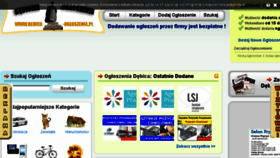 What Debica-ogloszenia.pl website looked like in 2014 (9 years ago)