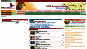 What Dogterminal.com website looked like in 2015 (9 years ago)