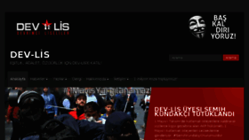 What Devlis.org website looked like in 2015 (8 years ago)